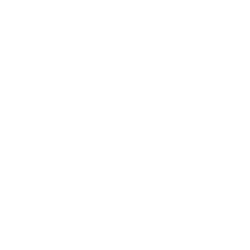 IESM